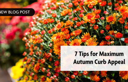 7 Tips for Maximum Autumn Curb Appeal
